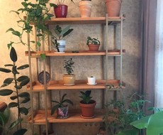 Стеллаж из березы